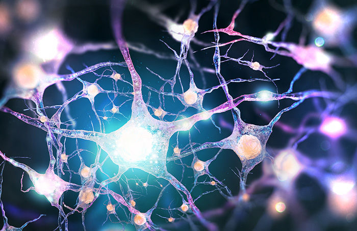 Advancements in Protein Methylation Research